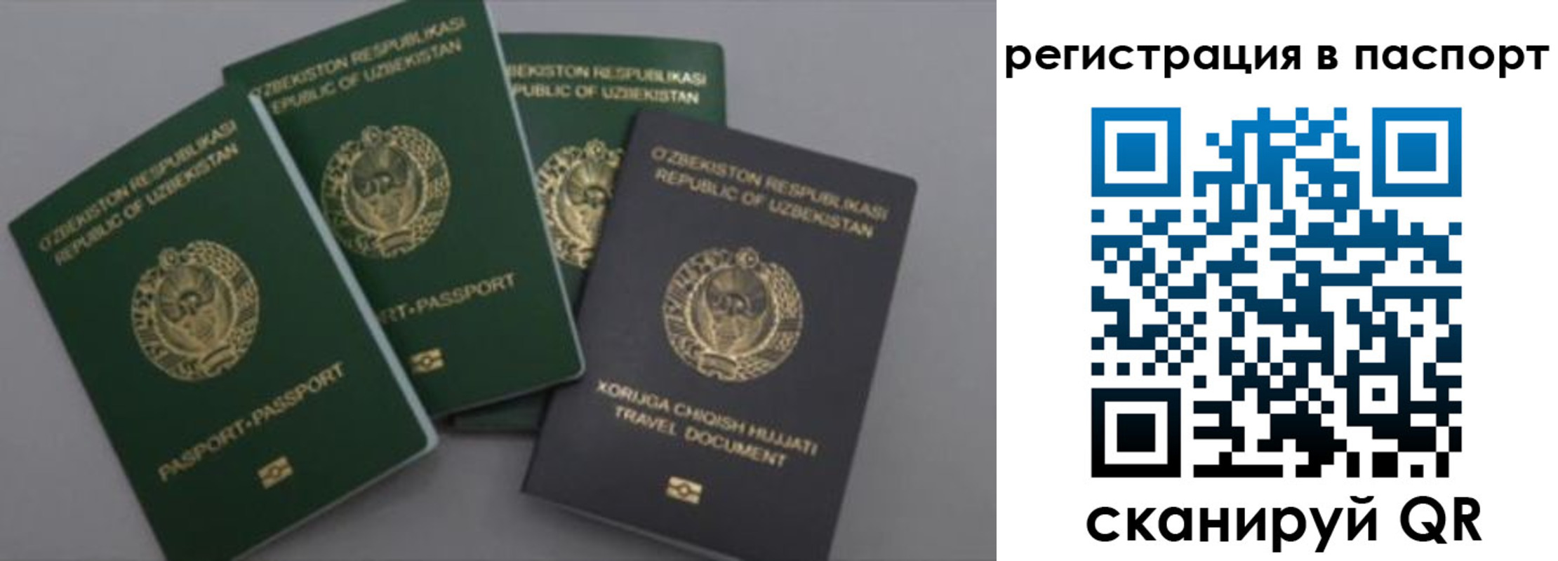 прописка от собственника в Никольском